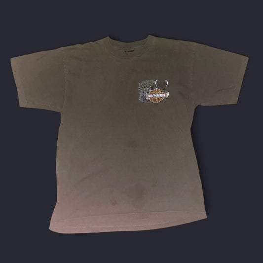 Vintage Y2K Harley-Davidson “Smoky Mountain – I Rode the Dragon” T-Shirt | Tennessee